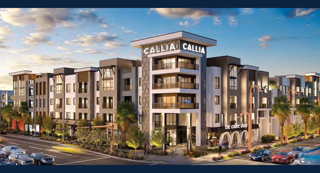 Callia wide view rendering